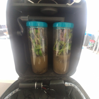 2 clear plastic contains, holding micro-ecosystems, inside a 3D printed housing. There are fans, pipes, hoses and wires connected to batteries and LEDs