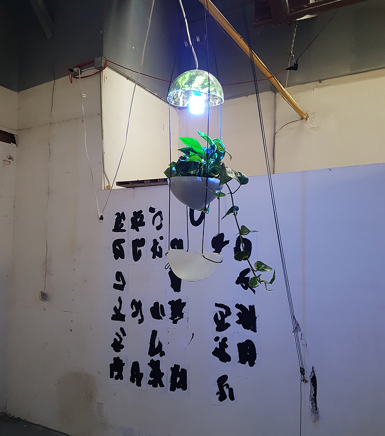 Propagation Station | Andrew Atkin | 2017