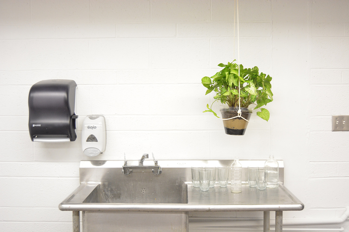 Microbial Filter | Andrew Atkin | 2015
