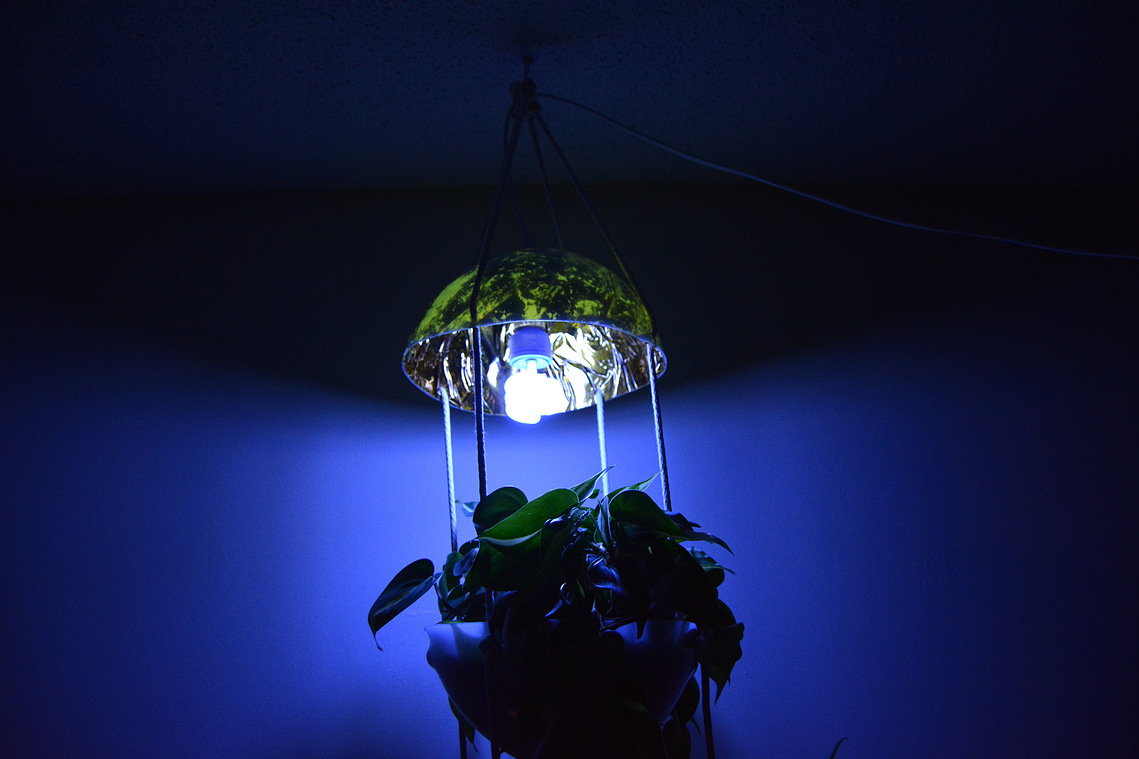 Propagation Station | Andrew Atkin | 2016