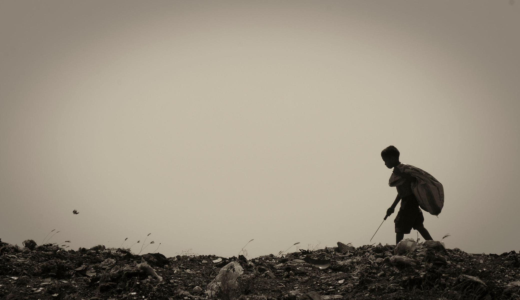 Article 32: Every child has the right: " to be protected from economic exploitation and from performing any work that is likely to be hazardous or to interfere with the child's education, or to be harmful to the child's health or physical, mental, spirit