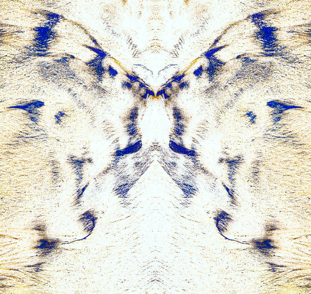 A symmetrical colour abstract based an original image of nature asking "What do you see?"