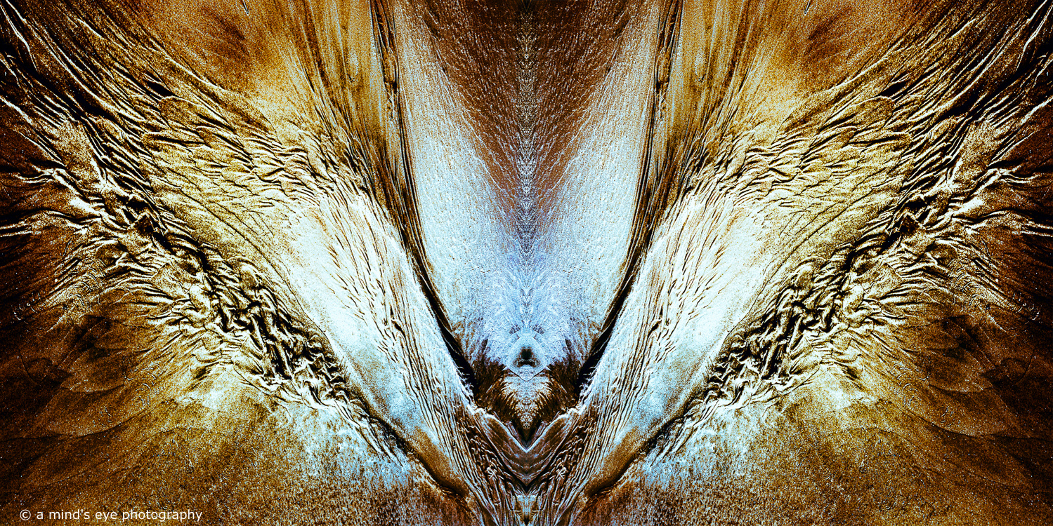 A symmetrical colour abstract image of an other-worldly creature riding on a winged bird.