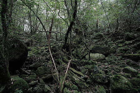 This is the place where Hayao Miyazaki start to draw Mononoke princess animation movie.