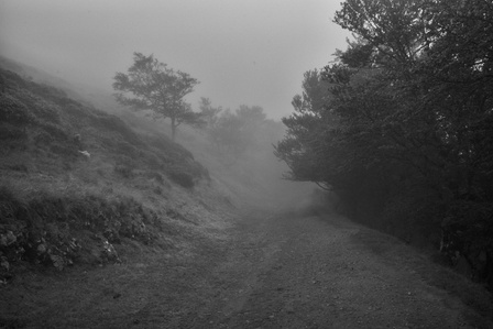 Le chemin de Compostelle entre Saint-Jean-Pied-de-Port et Roncevaux dans les nuages.