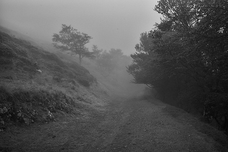 Le chemin de Compostelle entre Saint-Jean-Pied-de-Port et Roncevaux dans les nuages.