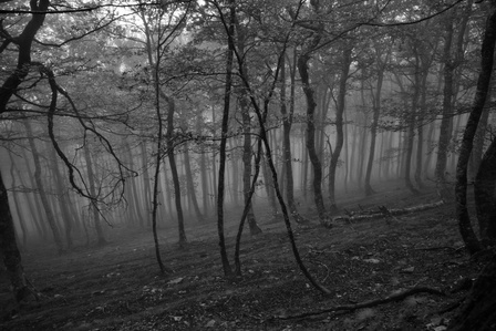 Le chemin de Compostelle entre Saint-Jean-Pied-de-Port et Roncevaux dans les nuages.