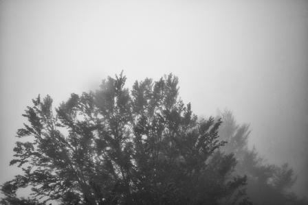Le chemin de Compostelle entre Saint-Jean-Pied-de-Port et Roncevaux dans les nuages.