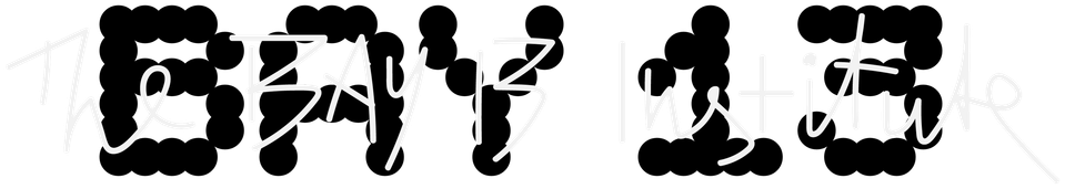 THE BAY 13 INSTITUTE 