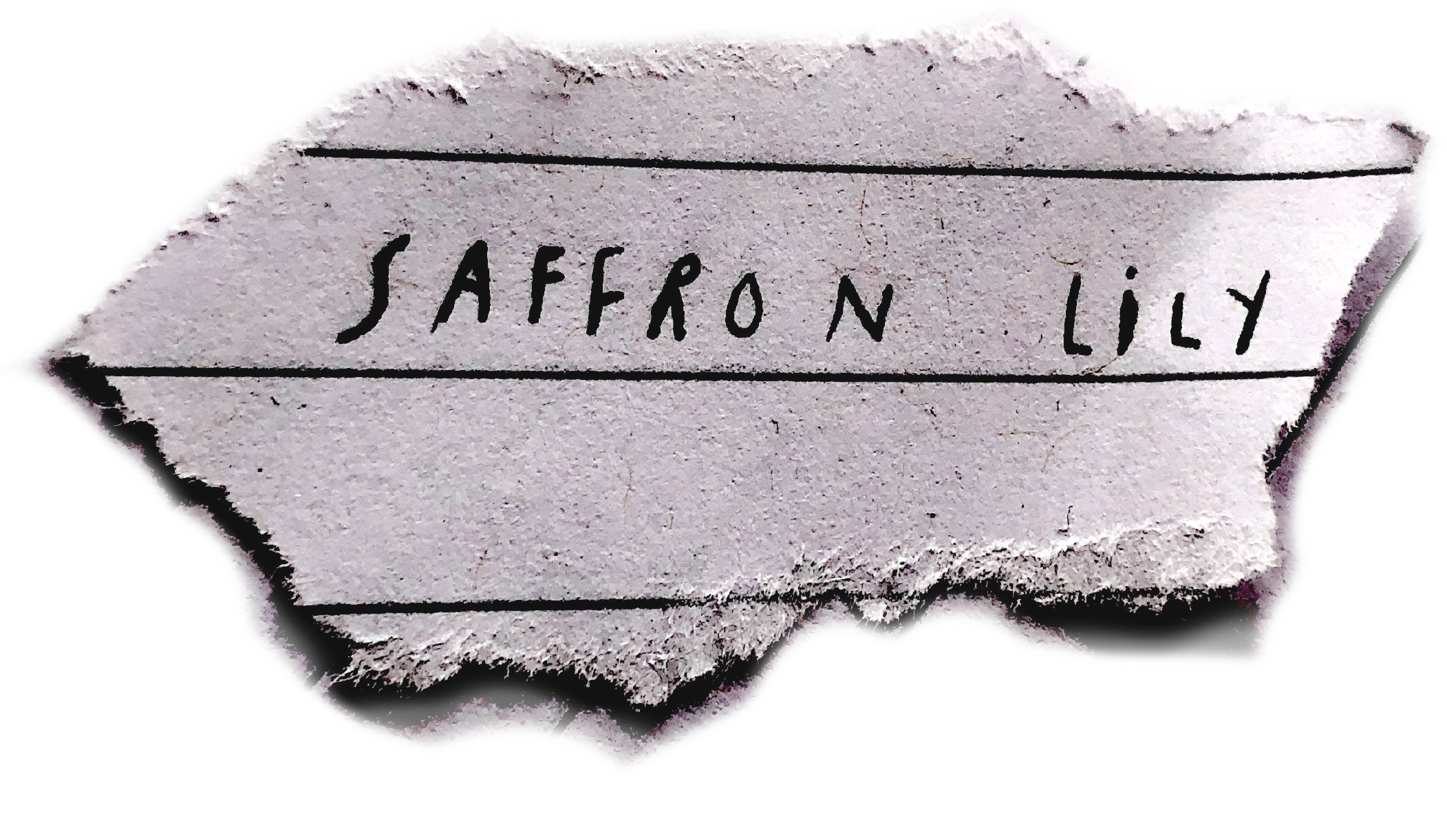 Saffron Lily