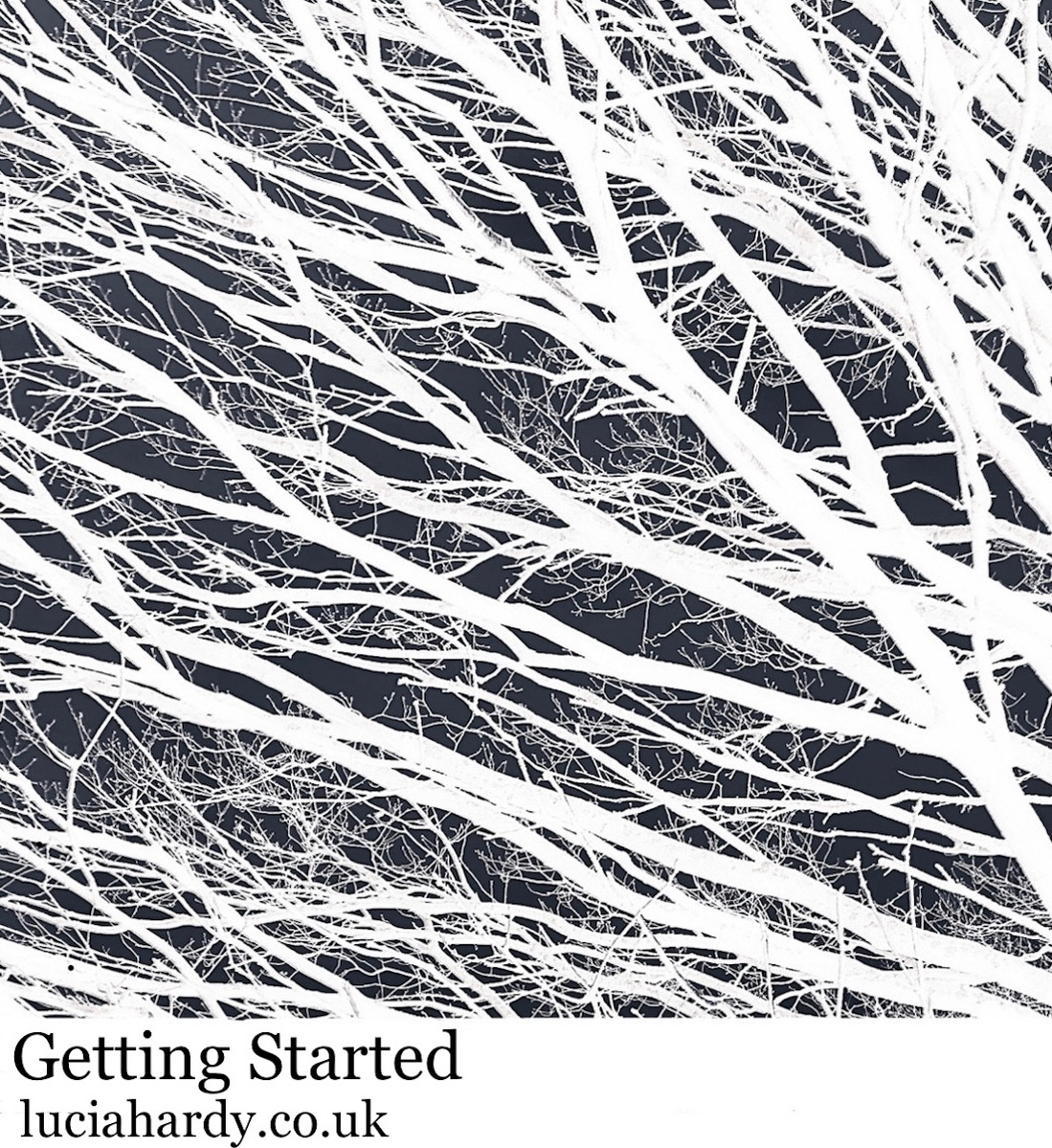 black and white twigs