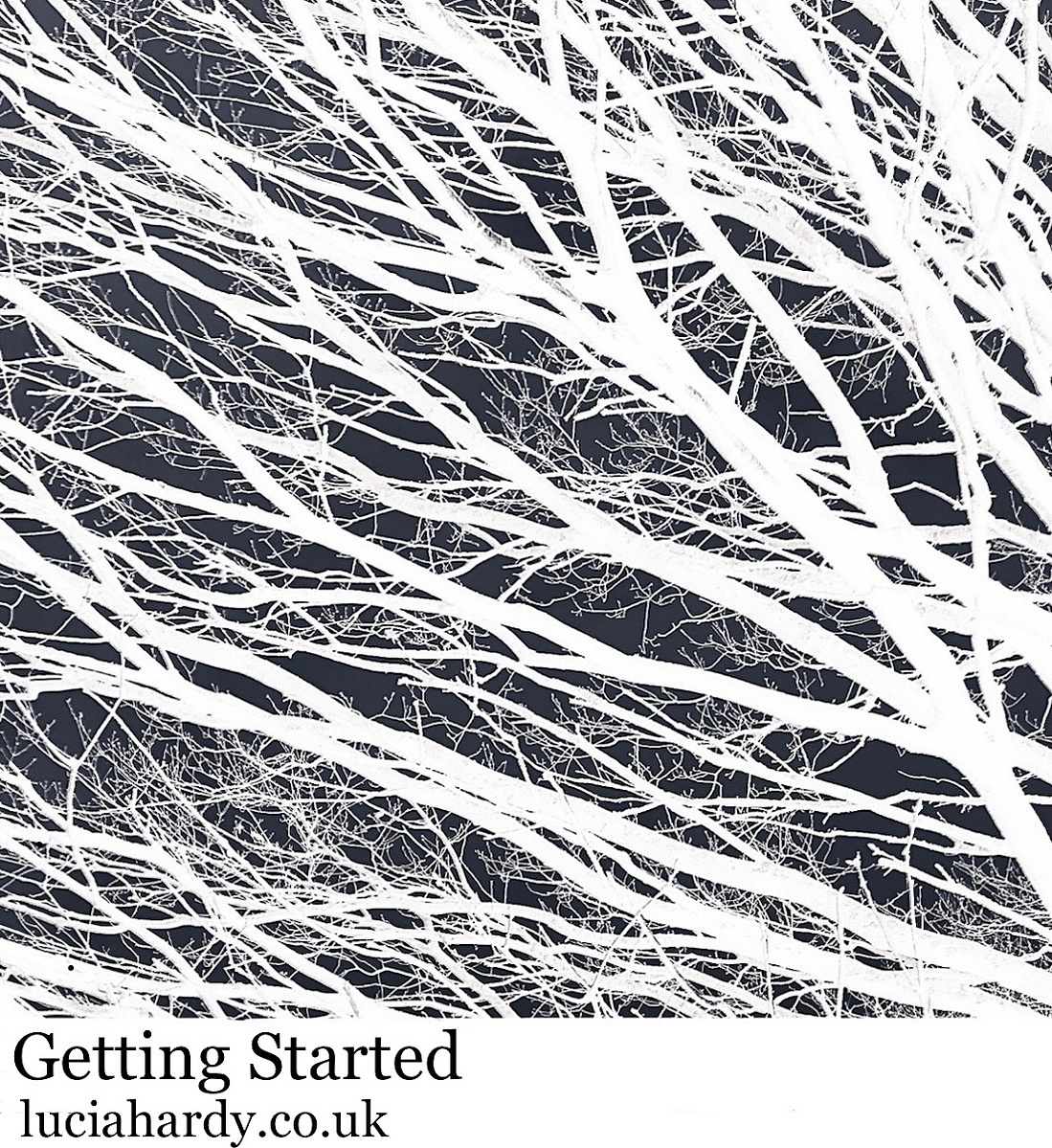 black and white twigs