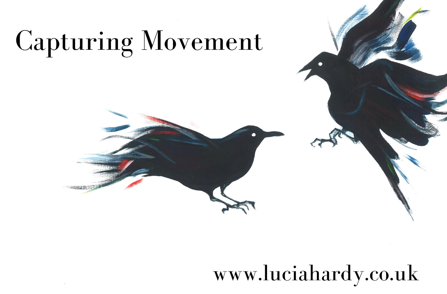 Artwork of two fighting crows with feathers flying.  Titles are capturing movement, and www.luciahardy.co.uk