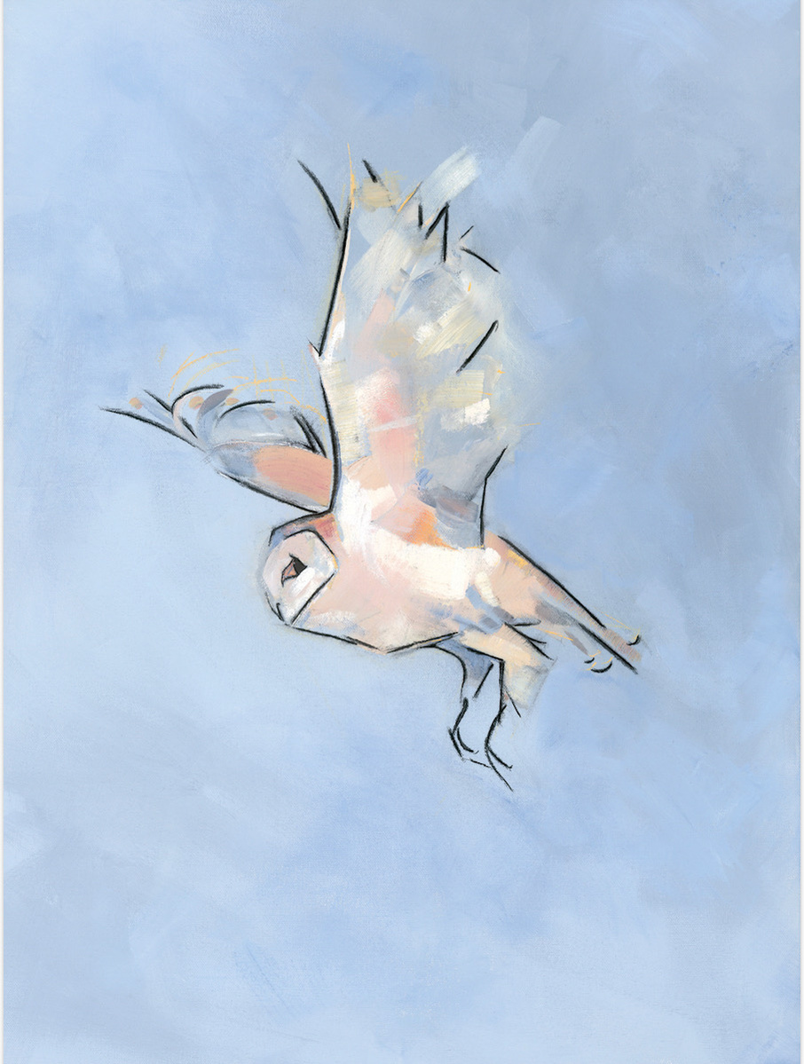 Artwork shows a barn owl in flight in a soft grey blue sky.  The owl has white, soft blue and grey tones alongside light peach accents with a sharp black outline making the work semi-abstract and sharp through the softness.