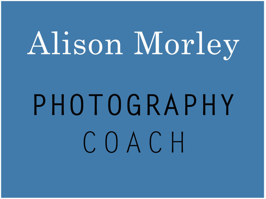 Alison Morley