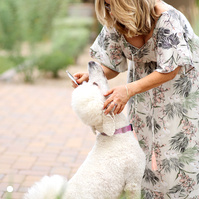 Dog breeder with poodle, brushing her hair
