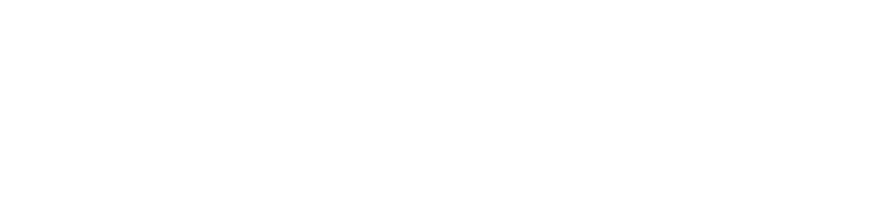 Wunderkammer. Curious photography.