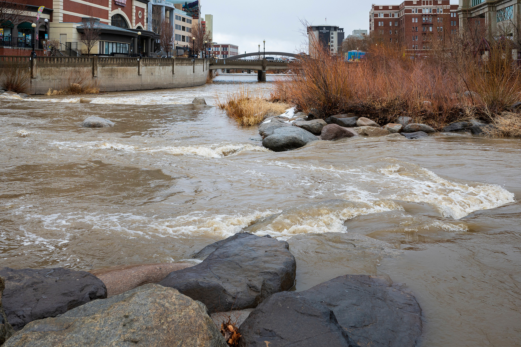 The Truckee River flowing through Wingfield Park in downtown Reno.
