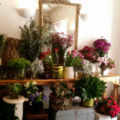 Lisbon gardens floral retreat