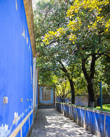 Lisbon gardens floral retreat