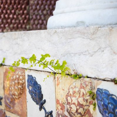 Lisbon gardens floral retreat