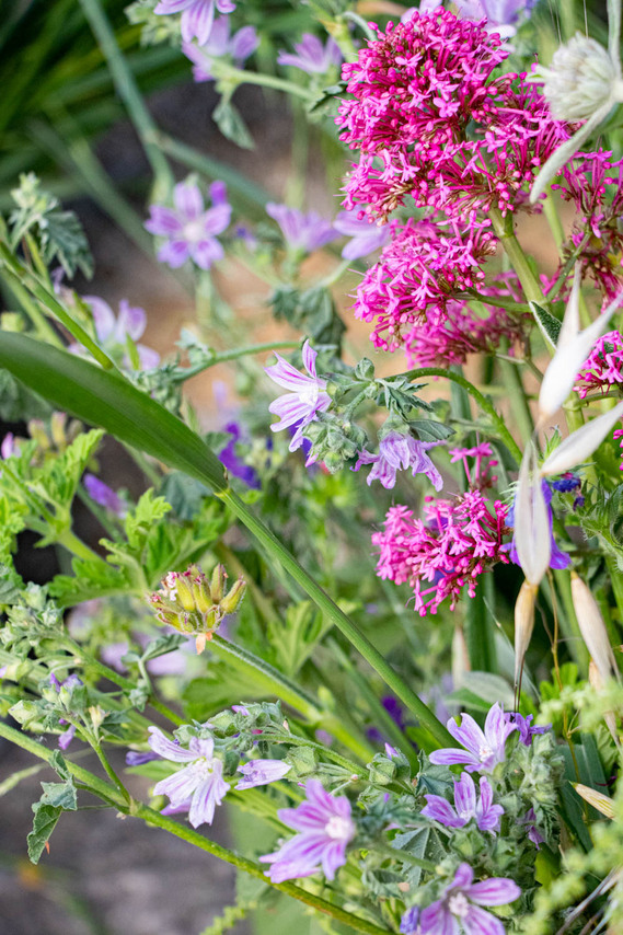 virtual flower arranging class