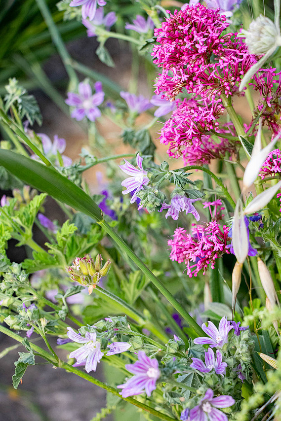 virtual flower arranging class