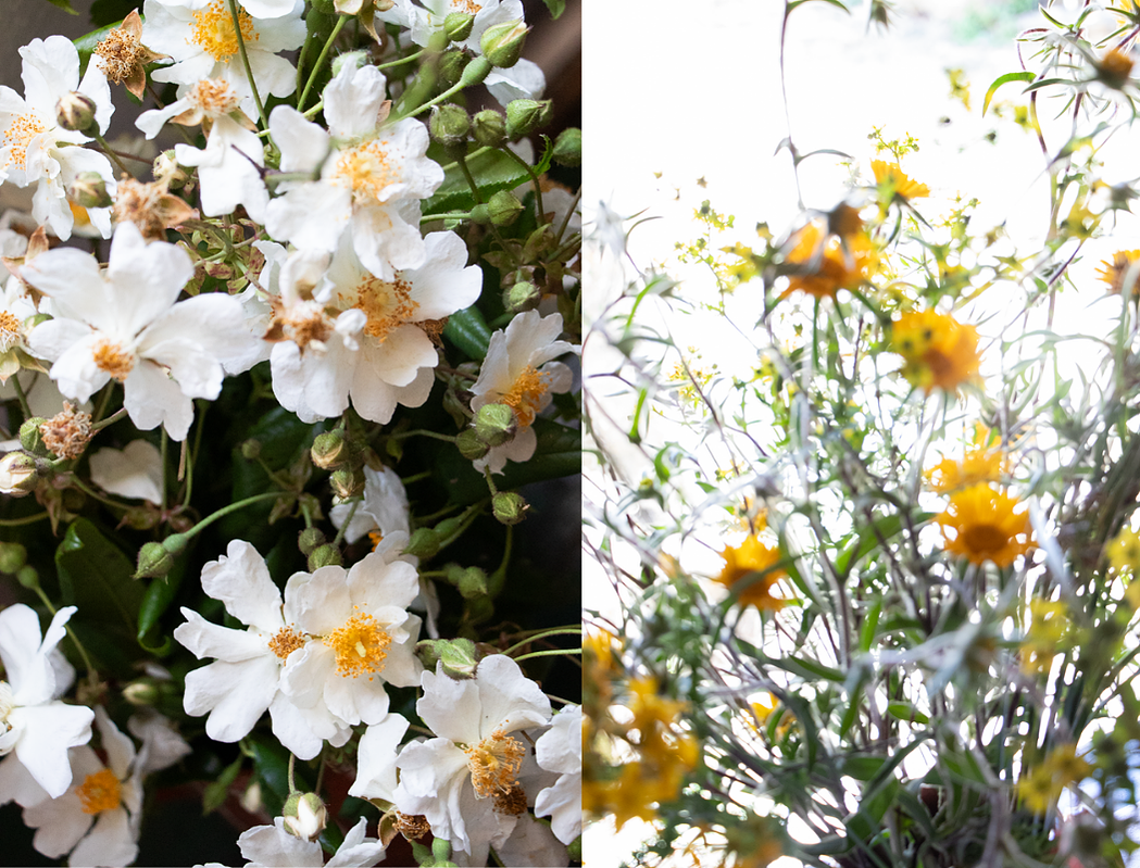 floral retreat