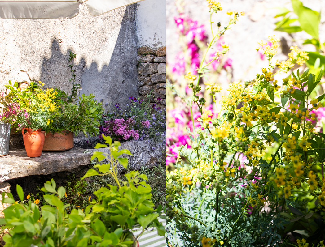 floral retreat