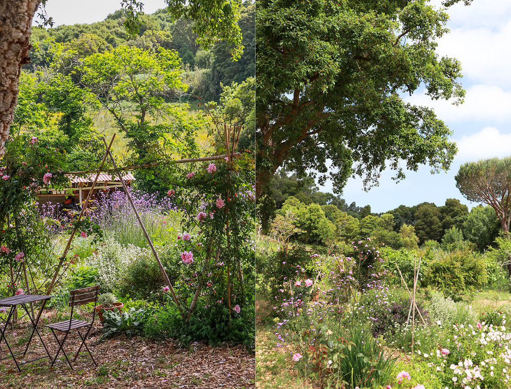 floral retreat