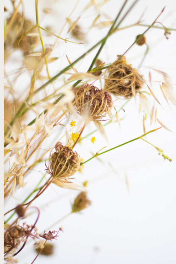 dried flower wreath making workshop