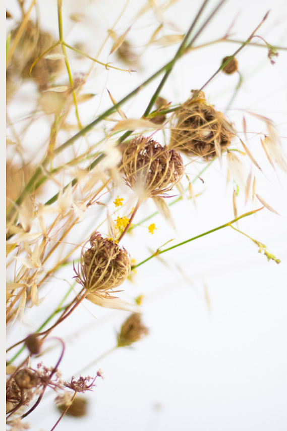 dried flower wreath making workshop