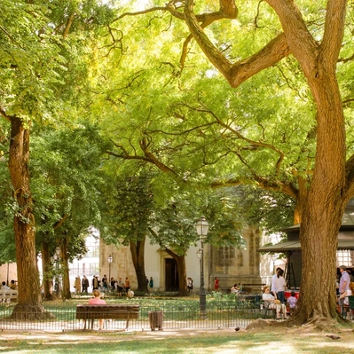 Lisbon gardens floral retreat