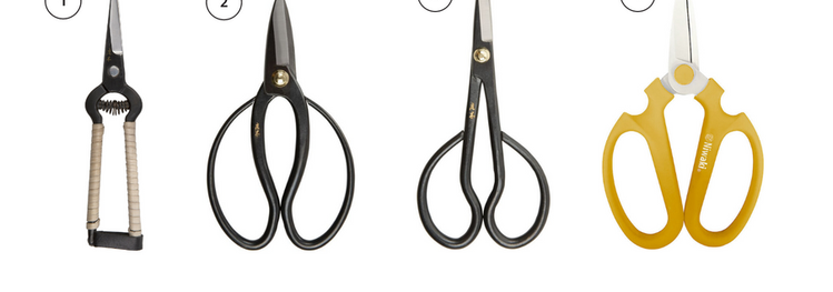 Best flower hot sale clippers