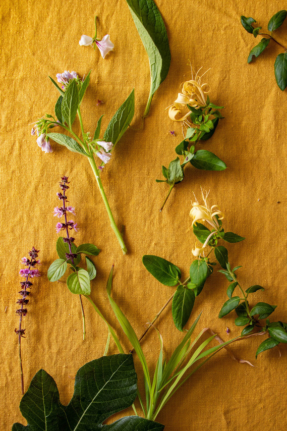 virtual flower arranging class
