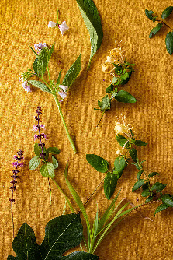 virtual flower arranging class