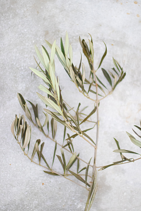 Virtual Wreath Making Class
