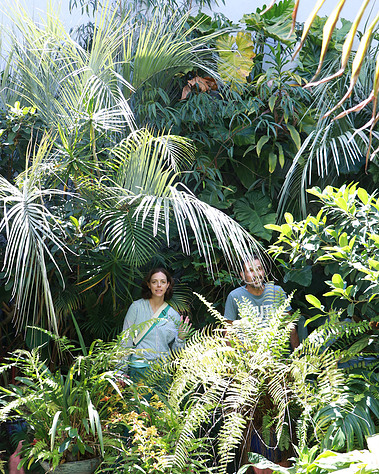 Lisbon gardens floral retreat