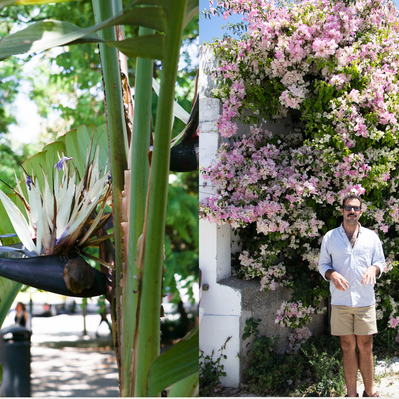 Lisbon gardens floral retreat