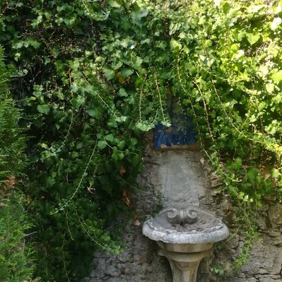 Lisbon gardens floral retreat