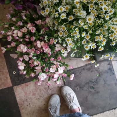 Lisbon gardens floral retreat