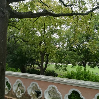 Lisbon gardens floral retreat