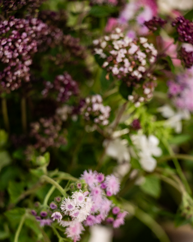 lisbon gardens floral retreat