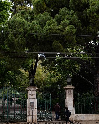 Lisbon gardens floral retreat