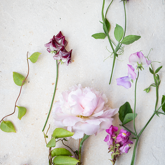 virtual flower arranging class