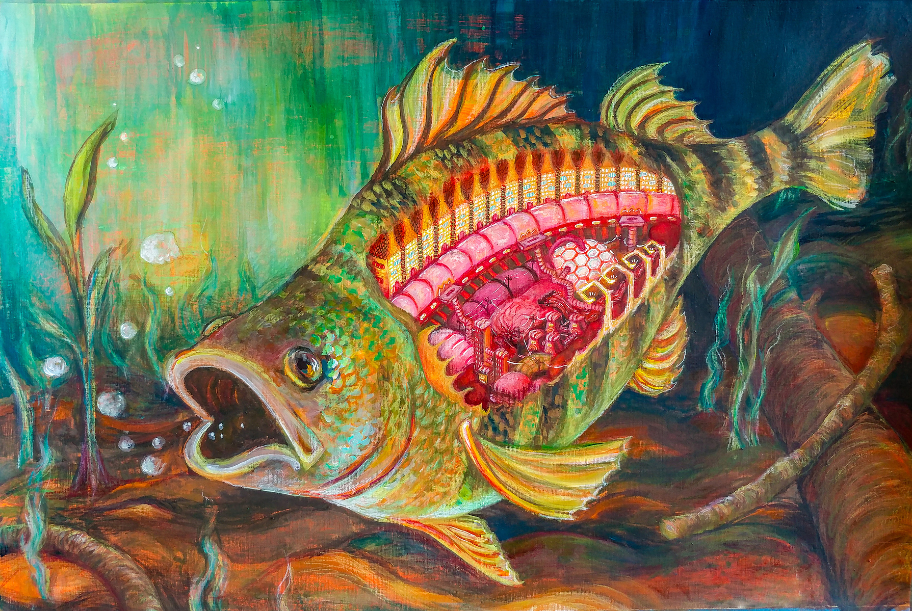 a freshwater perch swims at the bottom of a lake, with a tiny, intricate city living inside of its guts