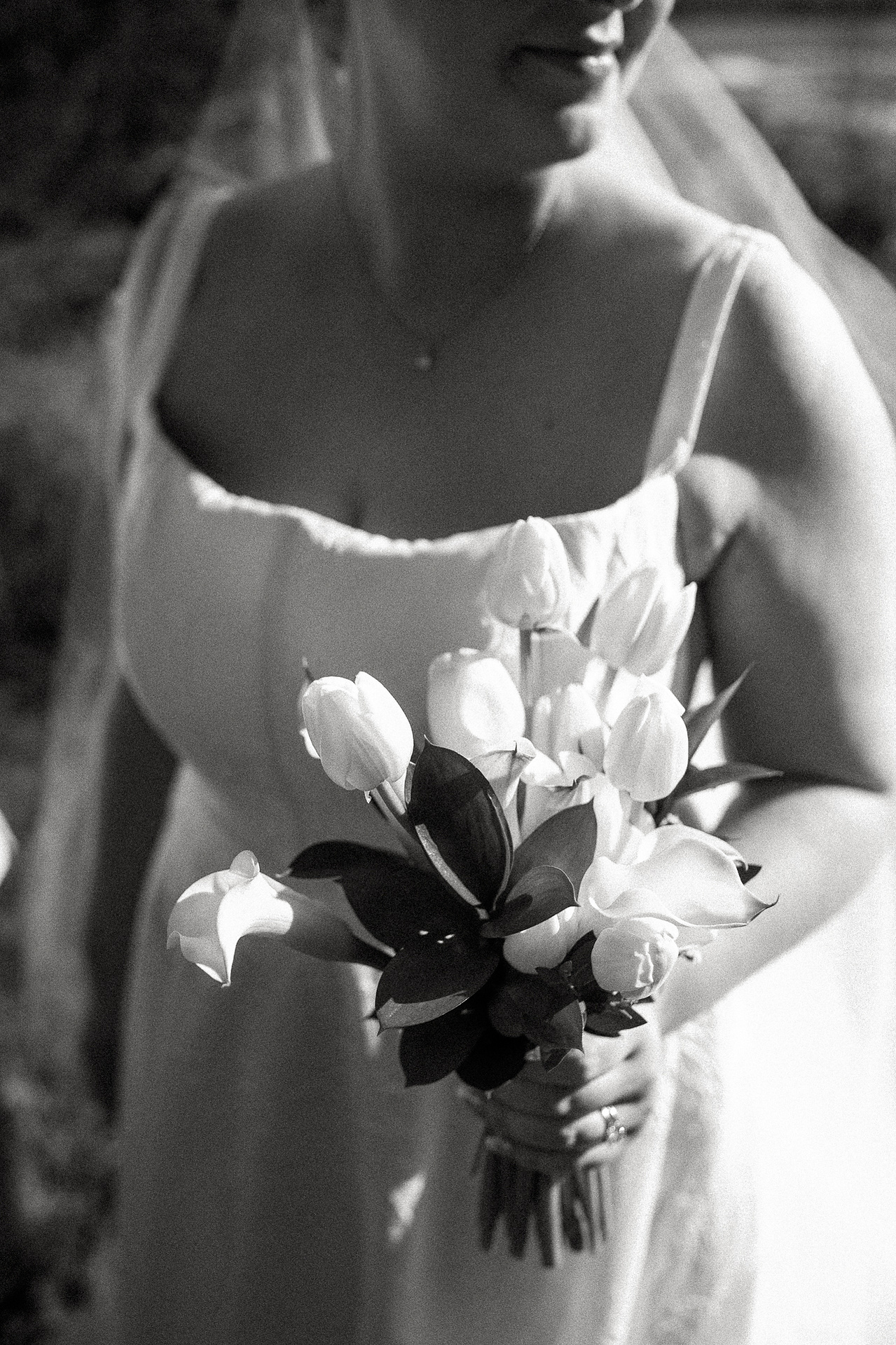 A bouquet of white tulips held in bright sunlight during a summer wedding at the Barn at the Crane Estate