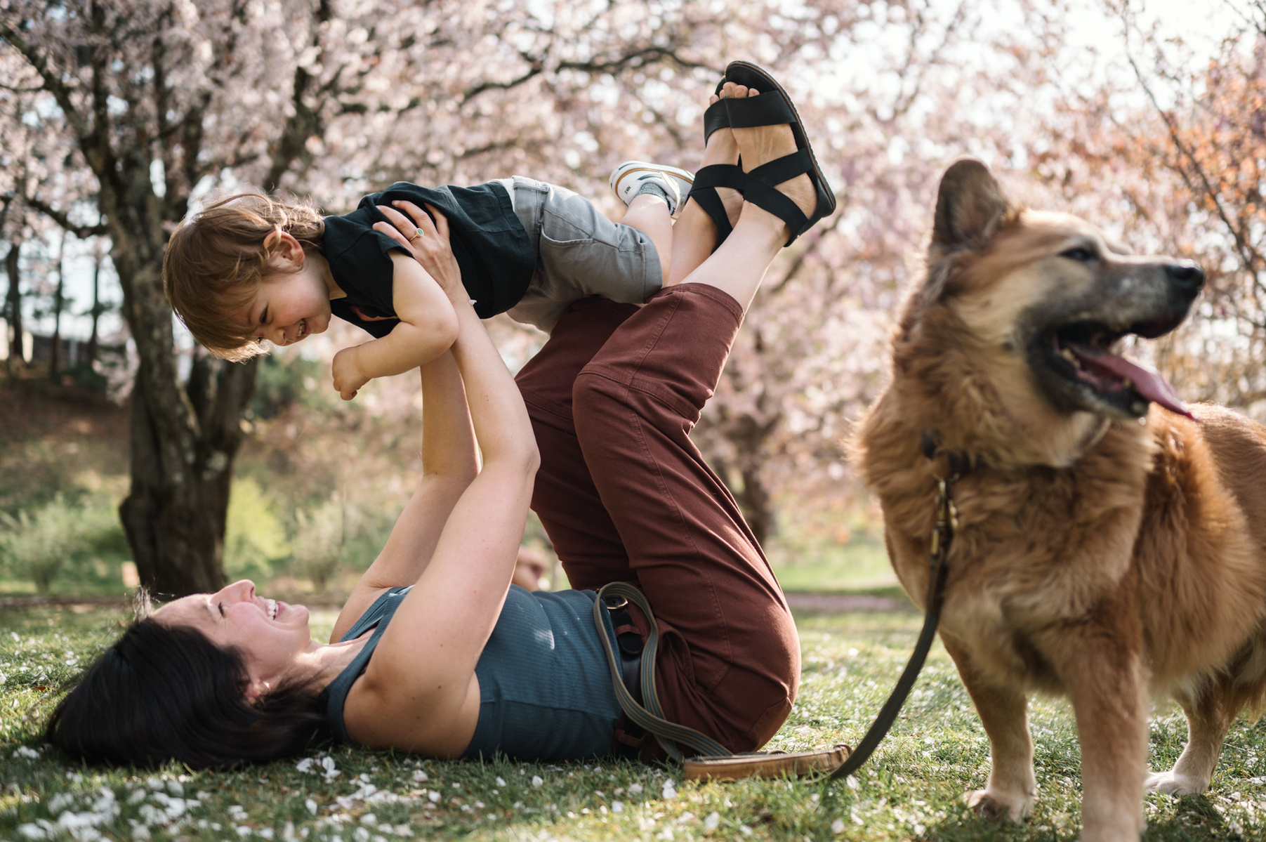 A mother plays with her son under the flowering trees in the Arnold Arboretum in Boston