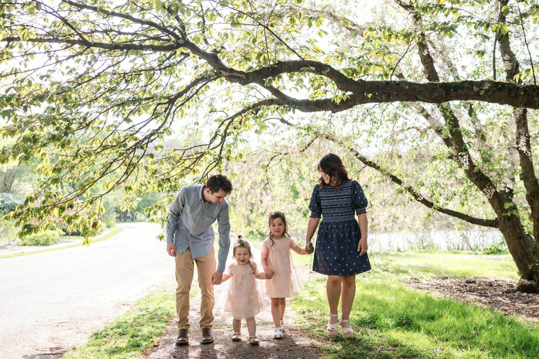 A family plays during their family photo session in Boston's Arnold Arboretum in spring.  Photo by West Roxbury family photographer Korri Leigh Photography