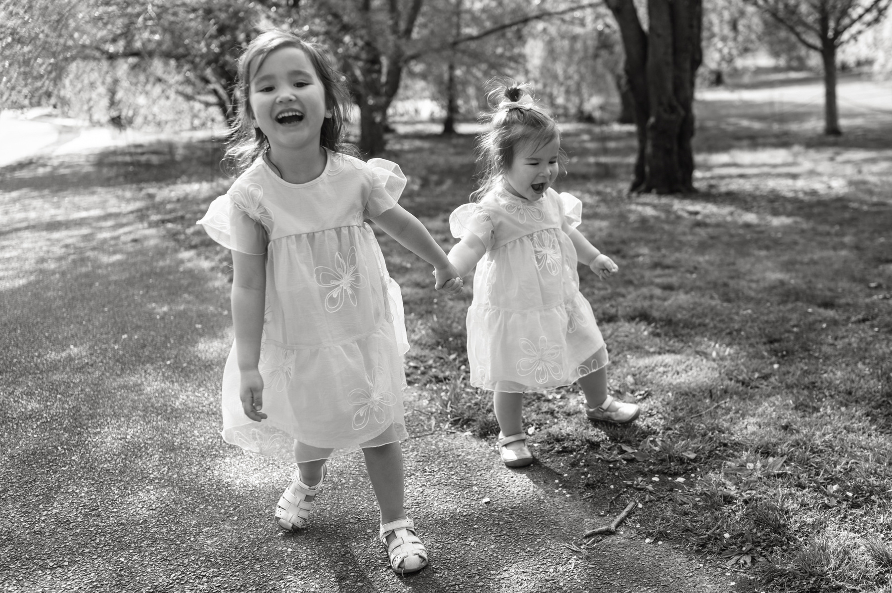 Two young sisters in pink dresses walk and smile during their family photo session in Boston's Arnold Arboretum in spring.  Photo by West Roxbury family photographer Korri Leigh Photography